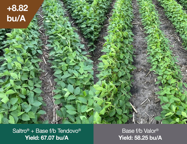 In-field soybean trial comparing Saltro seed treatment followed by Tendovo herbicideversus base seed treatment followed by Valor herbicide, showing Saltro plus Tendovo yielded 67.07 bu/A compared with 58.25 bu/A for the base plus Valor program, an 8.82 bu/A increase.